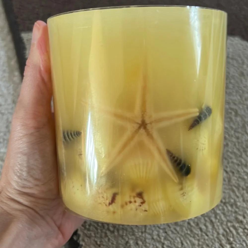 NWT Crate&Barrel Seashell Candle 2 🐚 RARE